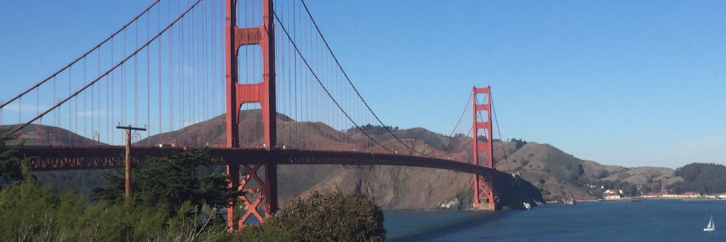 Bites and Sips banner