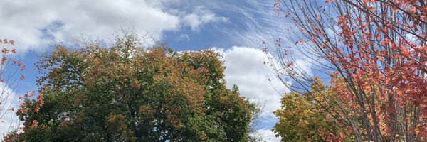 readingrsmind Profile Banner