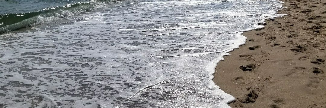 RodMills's profile banner image