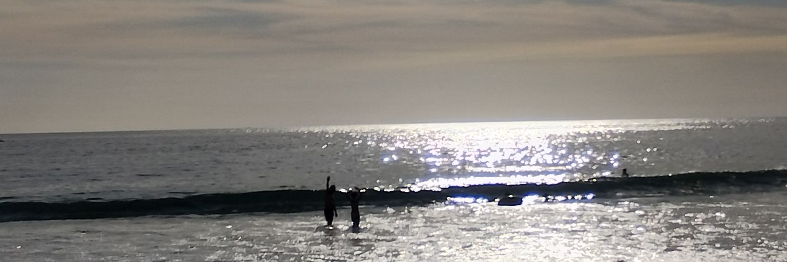 Teresa🌳Seguimos banner