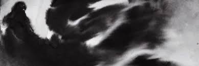 xynill. banner