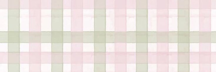 flaws (dm error) banner