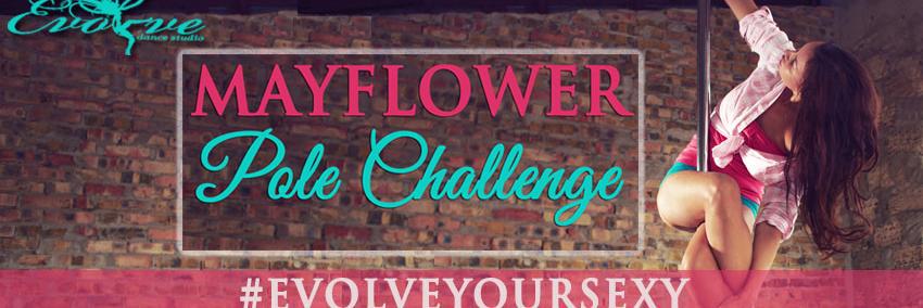 EvolvePoleDance's profile banner image