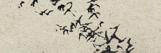 D. Z. banner