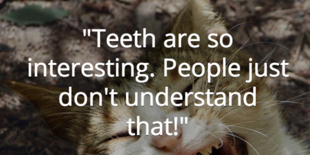FulhamDentist's profile banner image