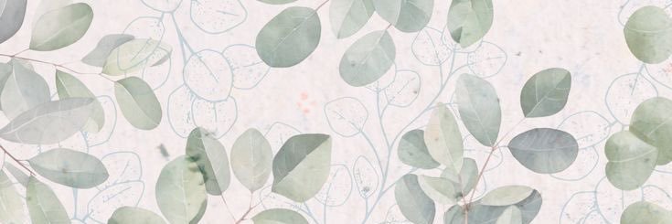 BalqeesBakhsh's profile banner image