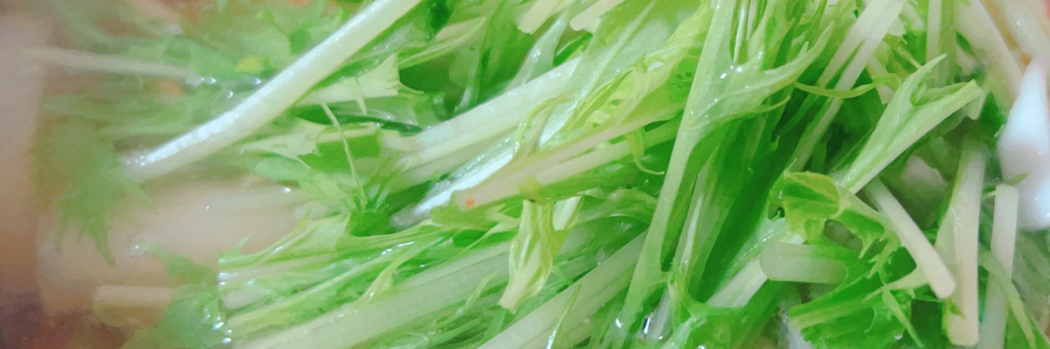 水菜 banner