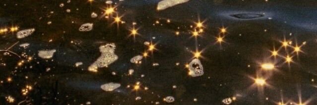 Ss banner