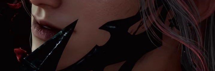 seiryu hinoarashi banner