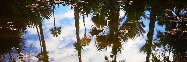 CelinePecheux's profile banner image
