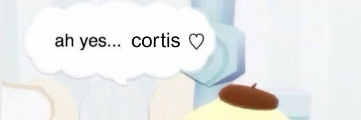 lia VA A VER A SKZ banner