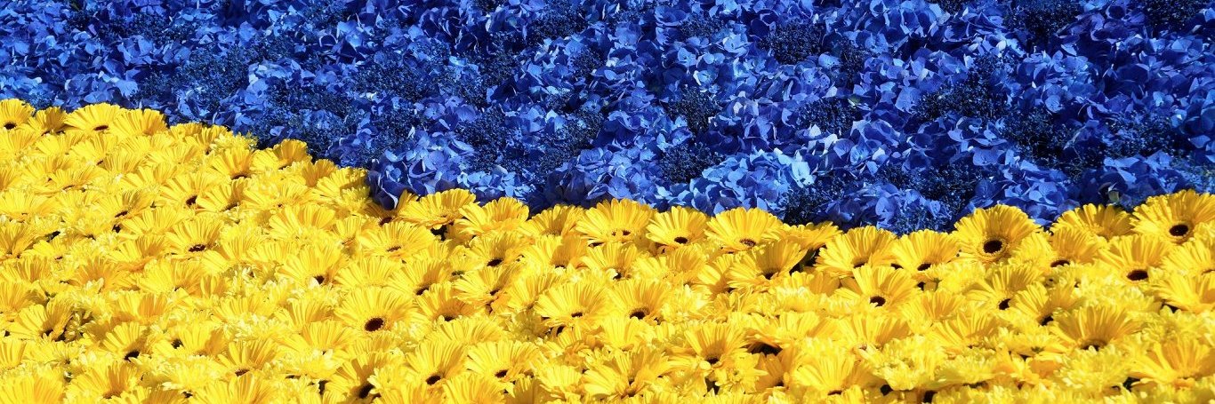 jjermar's profile banner image