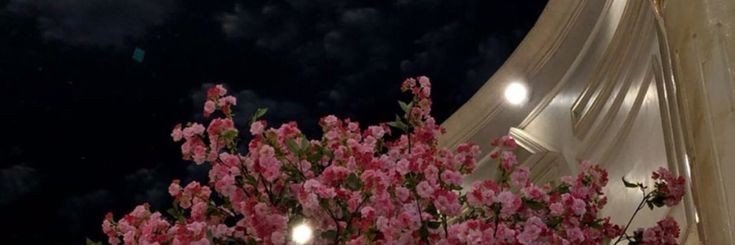 hl2hn's profile banner image