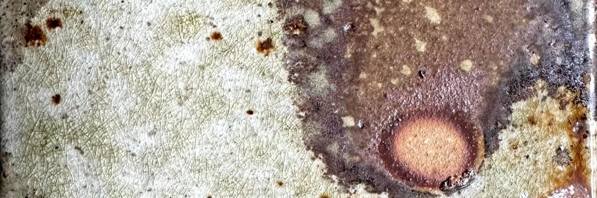 care about the environment banner