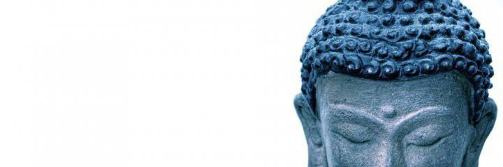 bolotonatwt's profile banner image