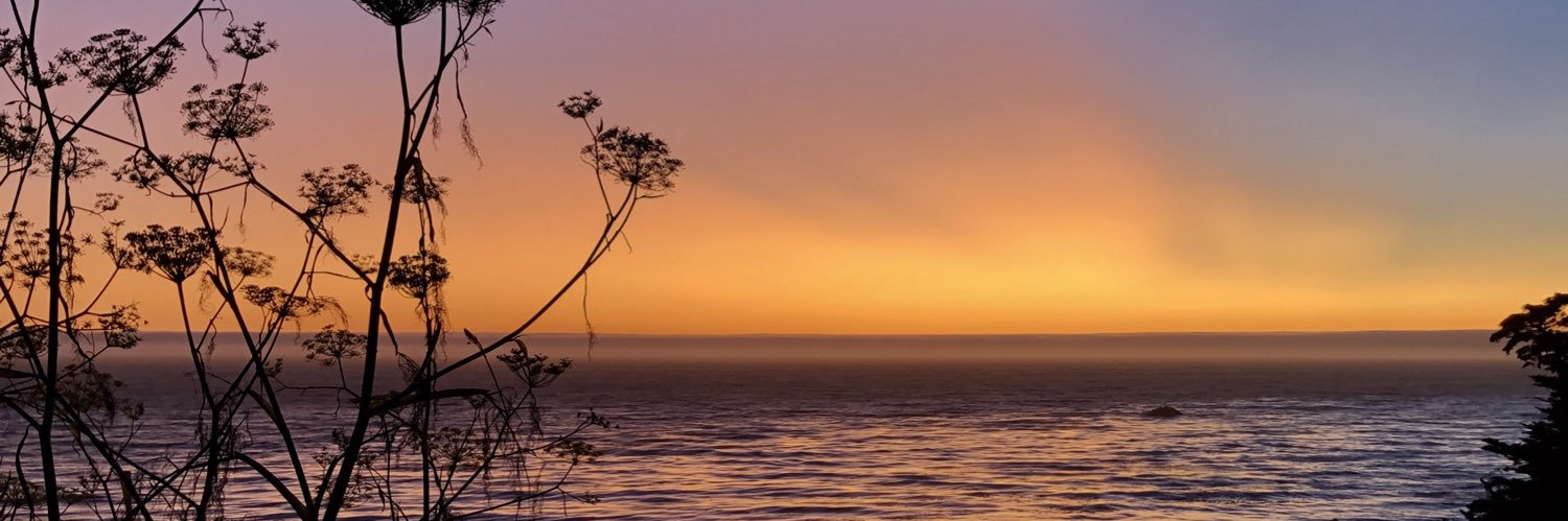 Amanda Houston banner