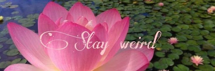✶ noyié banner