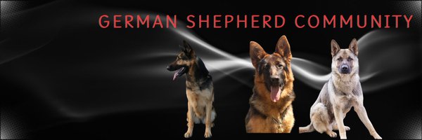 GermanShep95 Profile Banner