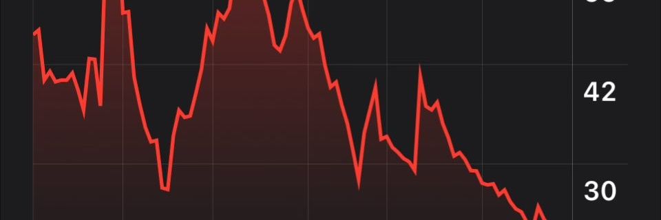 fuzbum's profile banner image