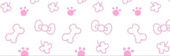 ʚpuppyɞ's banner