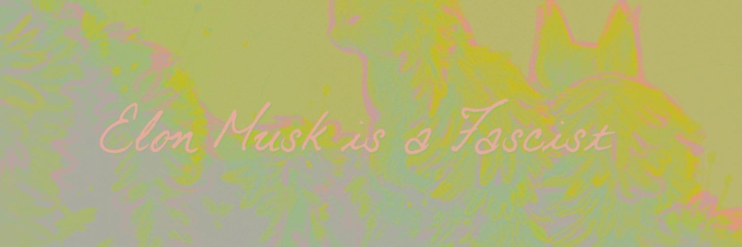 🌻 key-lime pie🌻 banner