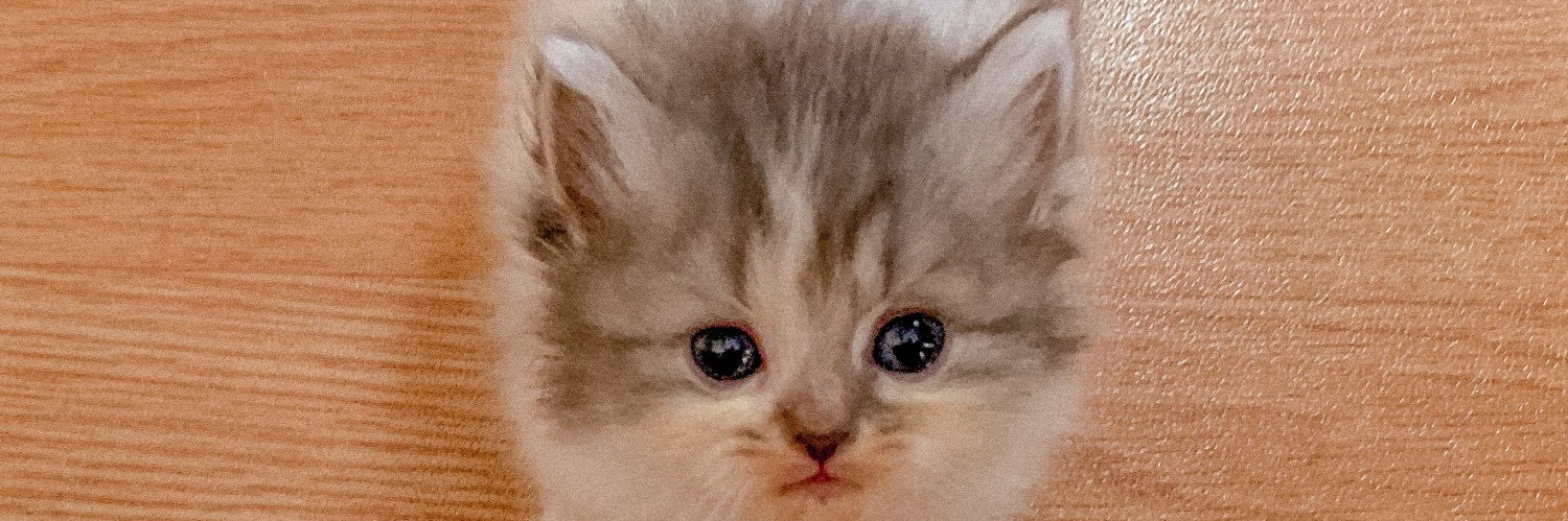 afidafida's profile banner image