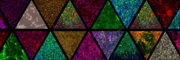 TrailBio Profile Banner