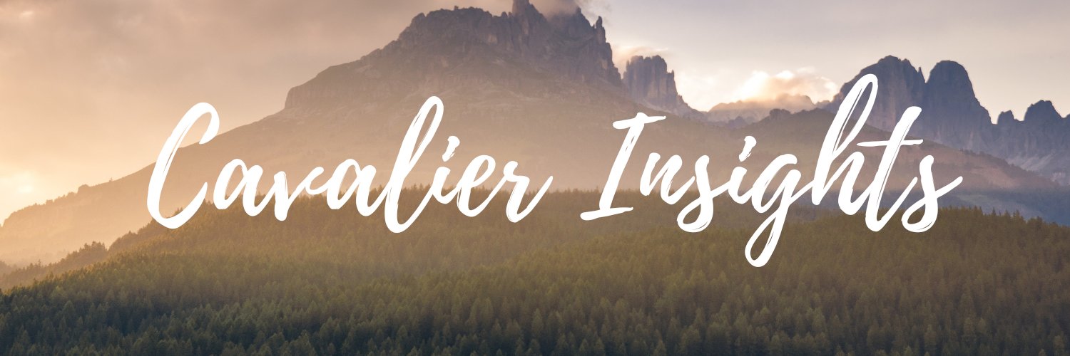 Paola De Avila banner