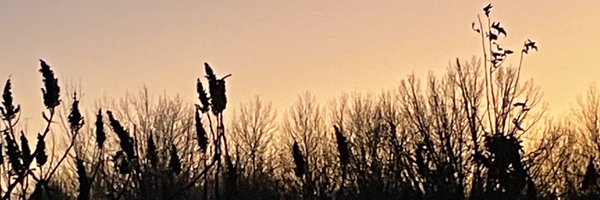 TanTruthseeker Profile Banner
