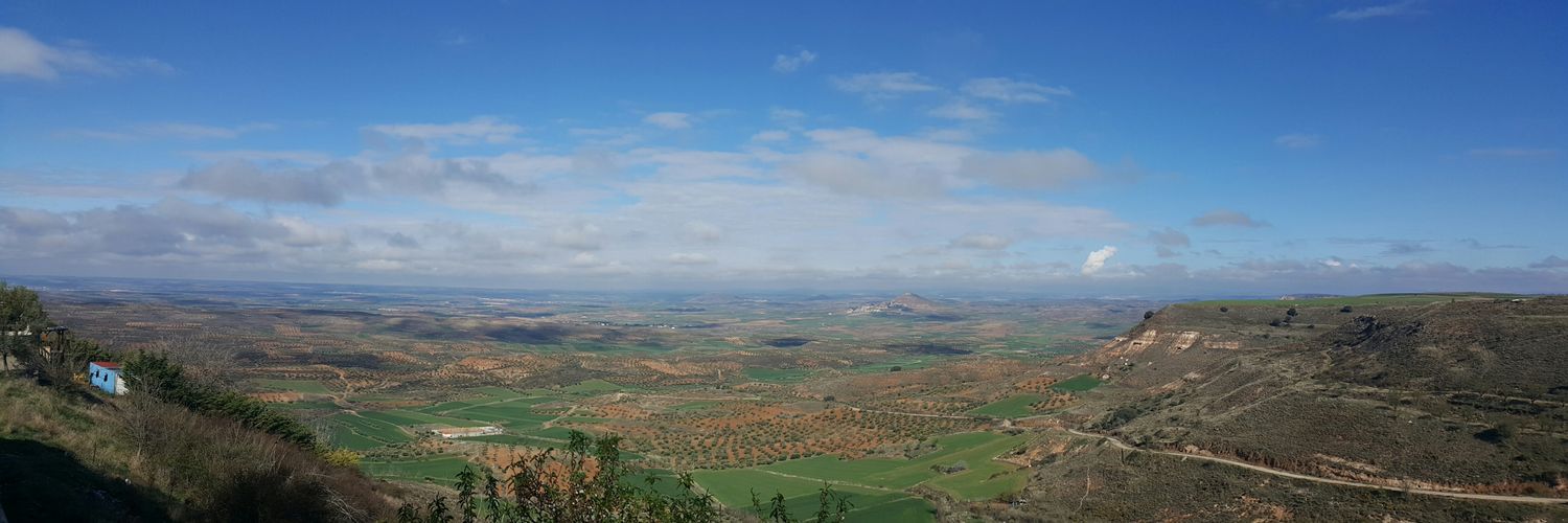 Noemí F. A. banner