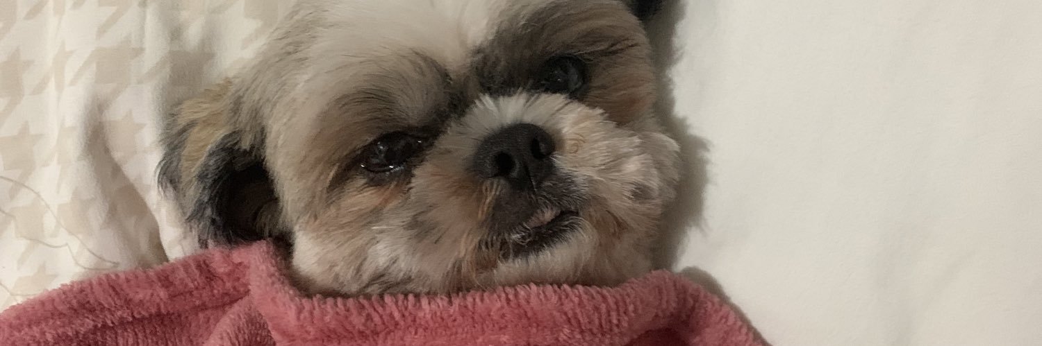 Lhuishaa's profile banner image