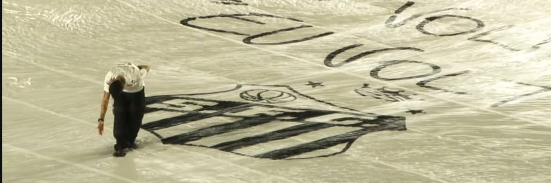 zeromancadaˢᶠᶜ 🐋 banner