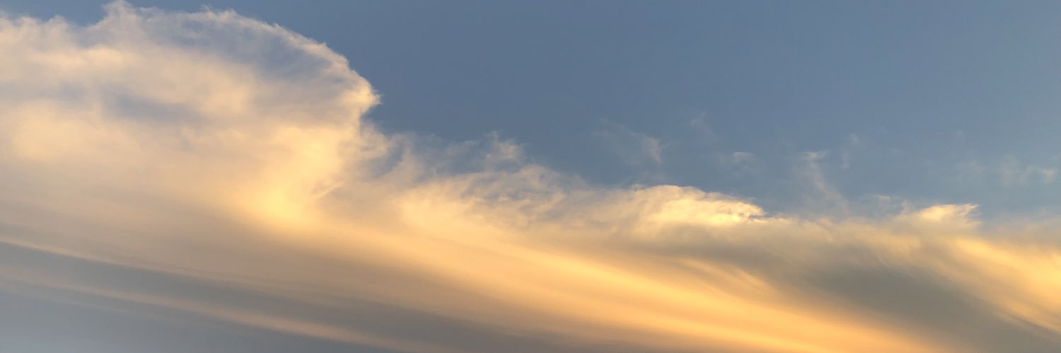 らずどら banner