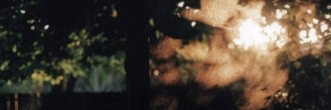 kit's banner