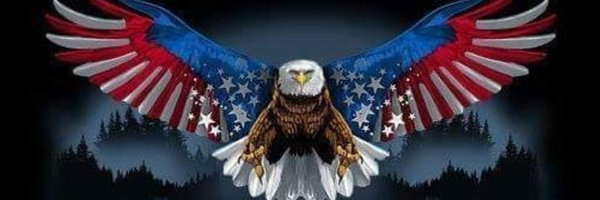 Cat5SMASHICANE Profile Banner