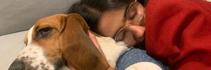 camolesegf's profile banner image