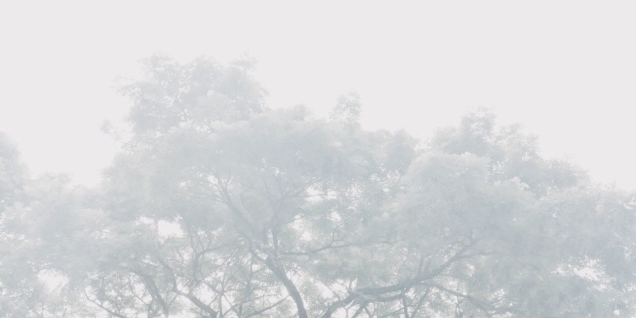 bushcc's profile banner image