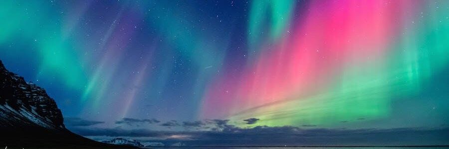 Daniele Di Mitri banner