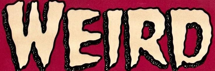 lyalogia's profile banner image