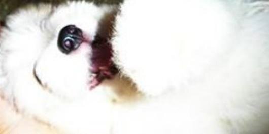 AlewrSandrovan's profile banner image