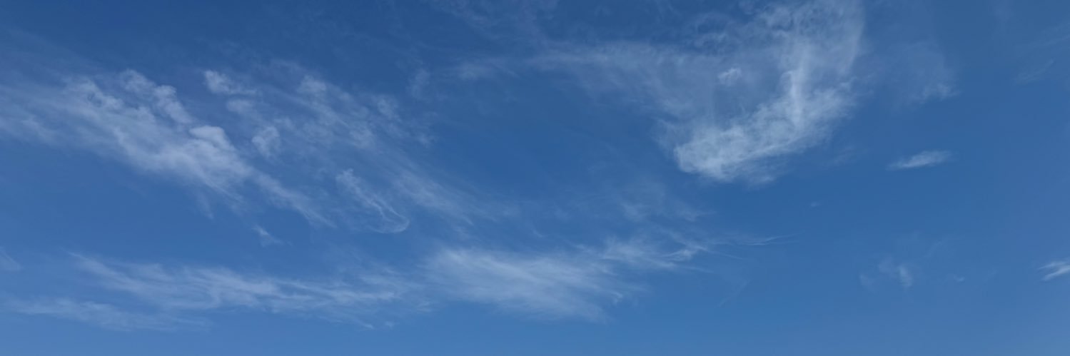 Georgia banner