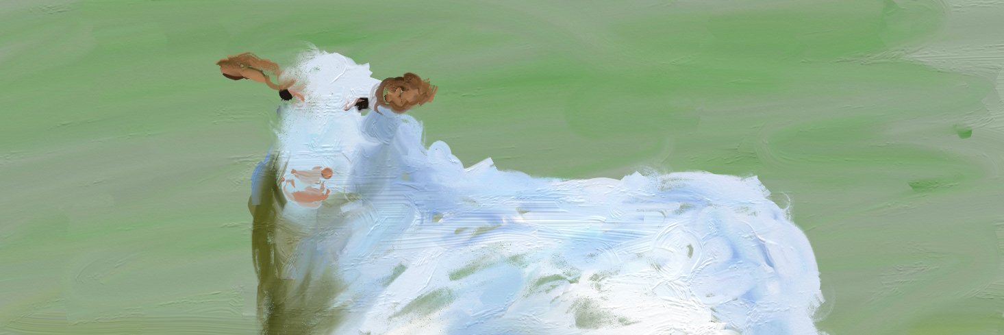 Verankert's profile banner image
