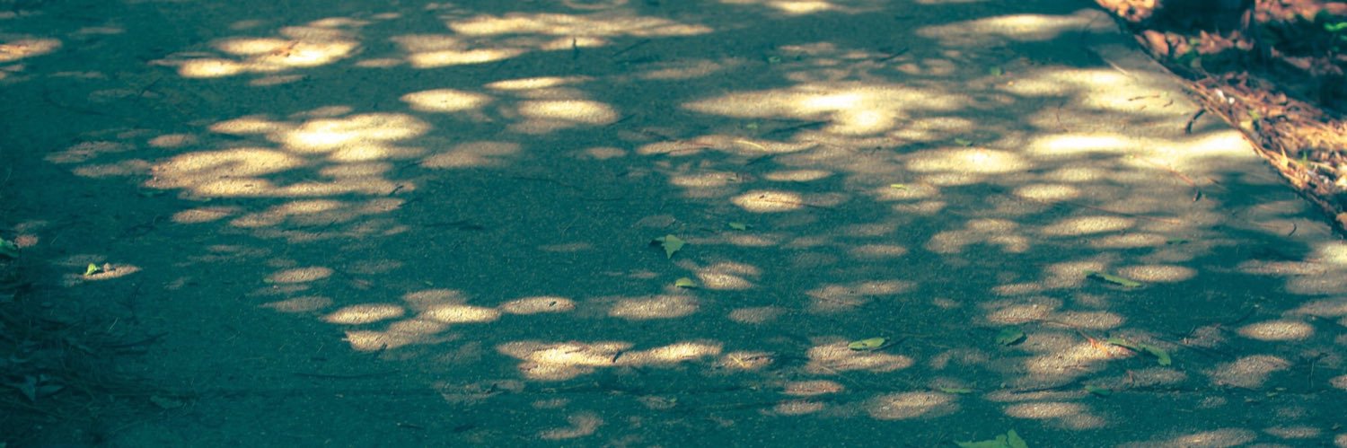 ee_rang's profile banner image