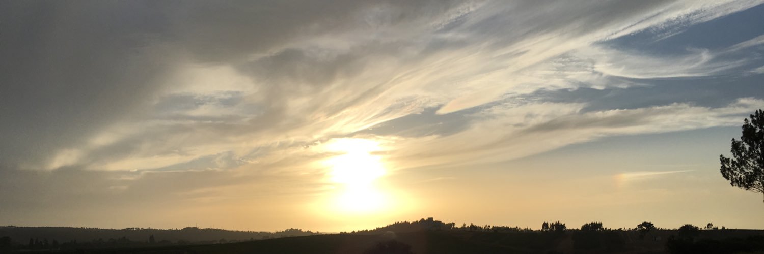 bfasilva's profile banner image