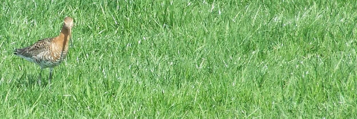HermanZoetman's profile banner image