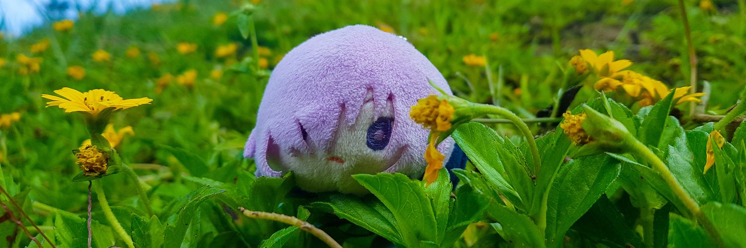 mochinnamon🦋 banner