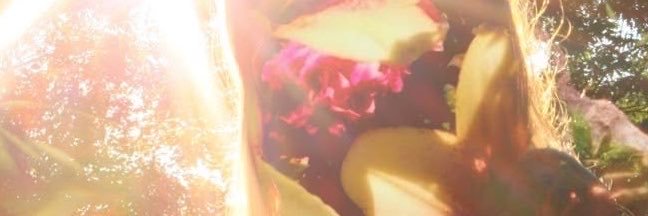 jentlemeri's profile banner image