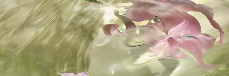 bloeved's profile banner image