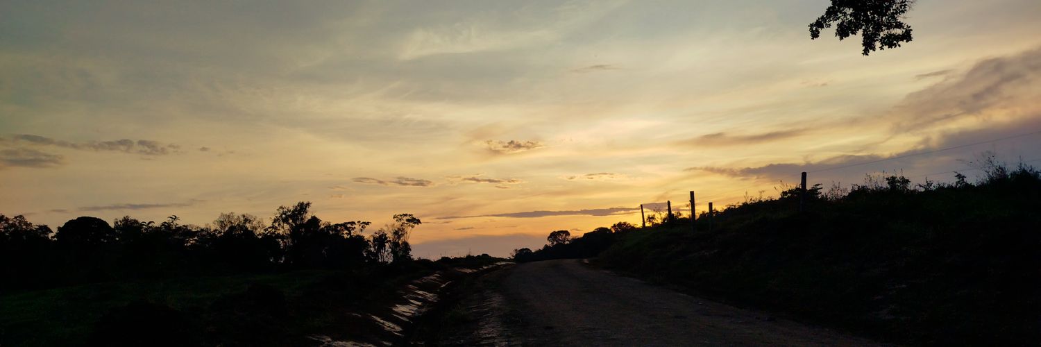 AlexFreitas_af's profile banner image