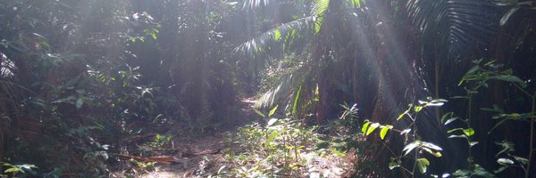 mrrogens Profile Banner